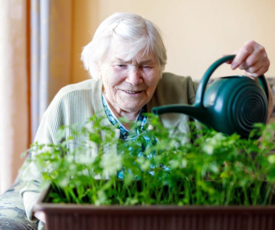 Dzięki Montessori Senior Lifestyle® aktywizacja seniorów z otępieniem staje się łatwiejsza